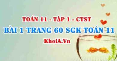 Bài 1 trang 60 SGK Toán 11 Tập 1 Chân trời sáng tạo